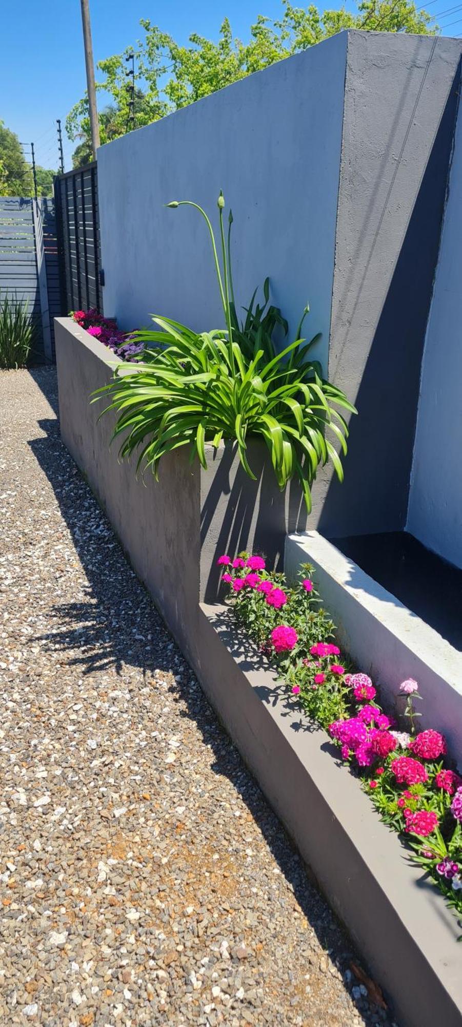 Mosswood Bed & Breakfast Graskop Exterior foto