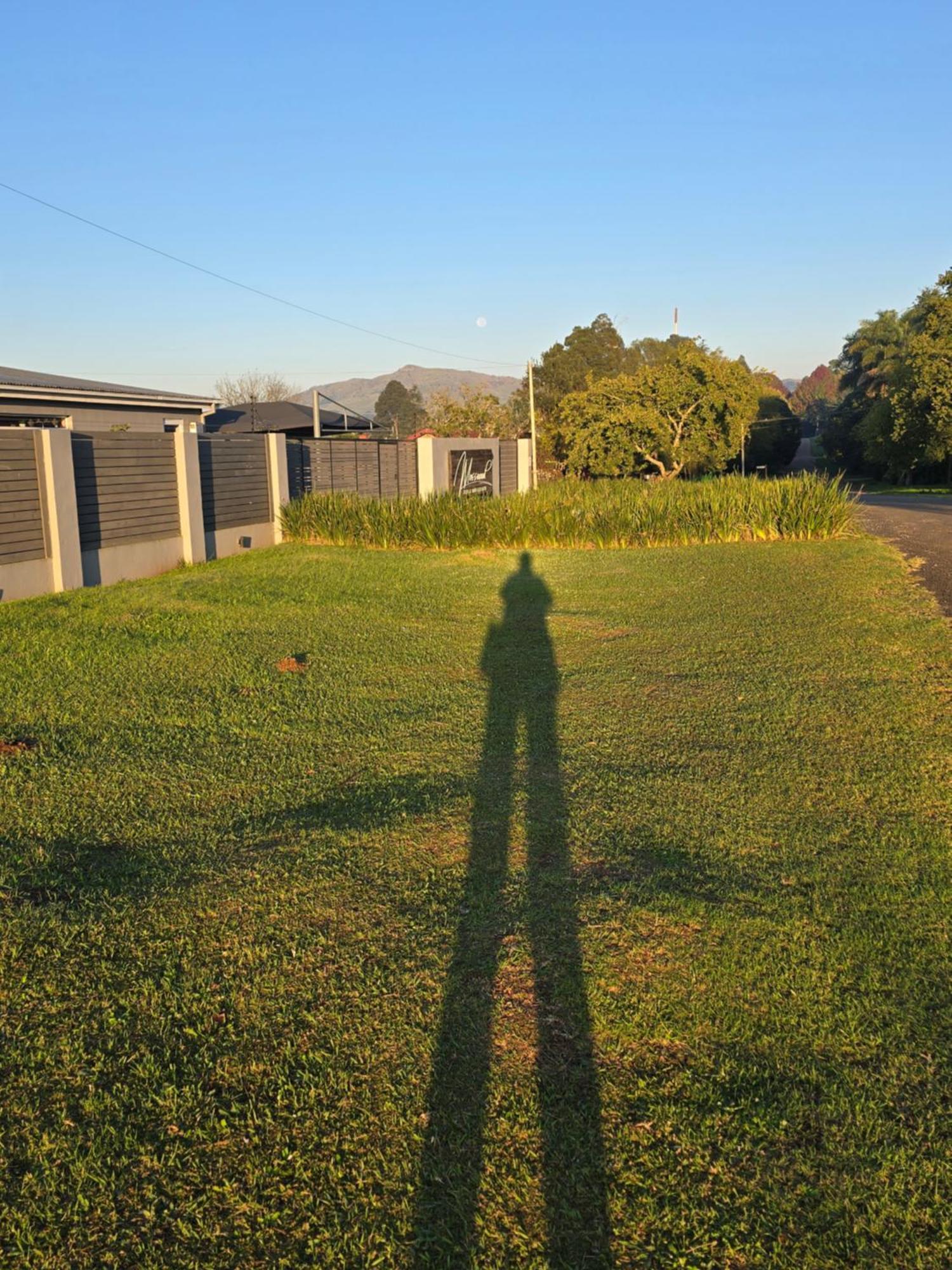 Mosswood Bed & Breakfast Graskop Exterior foto